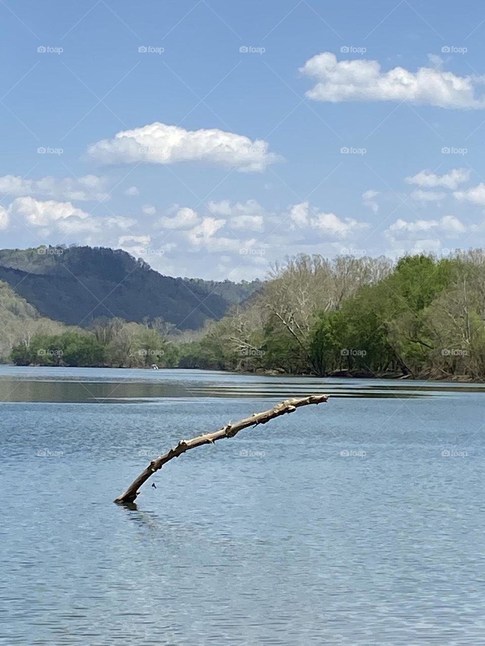 Clear skies on the river