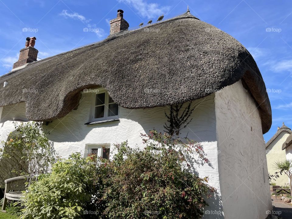 Wibbly wobbly thatched roof 