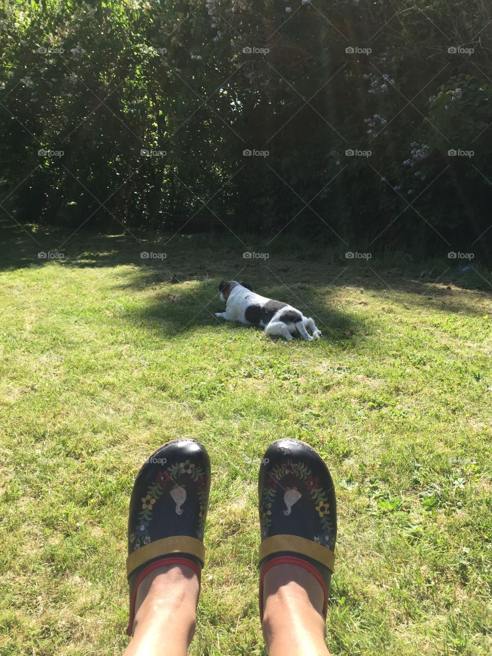 Lazy day in the garden