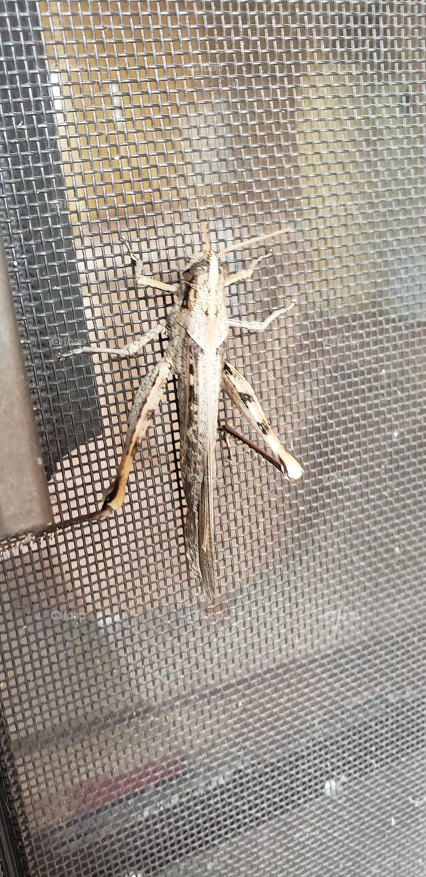 hanging around the screen