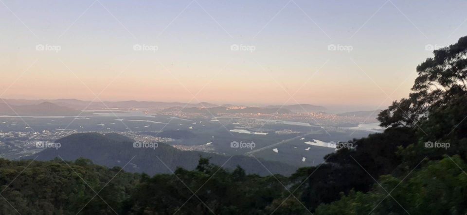 forest in the mountains