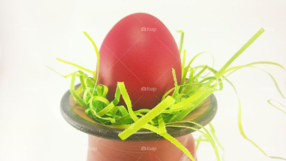Egg easter, 