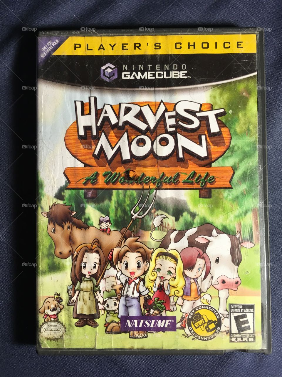 Harvest Moon A Wonderful Life - Nintendo GameCube Video Game 2004 release 