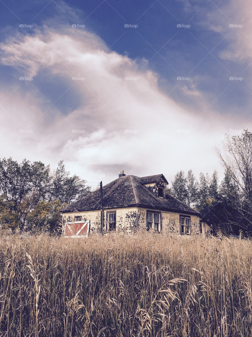 Abandoned farm house