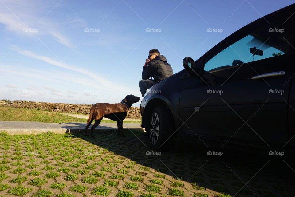 Trip#car#human#dog