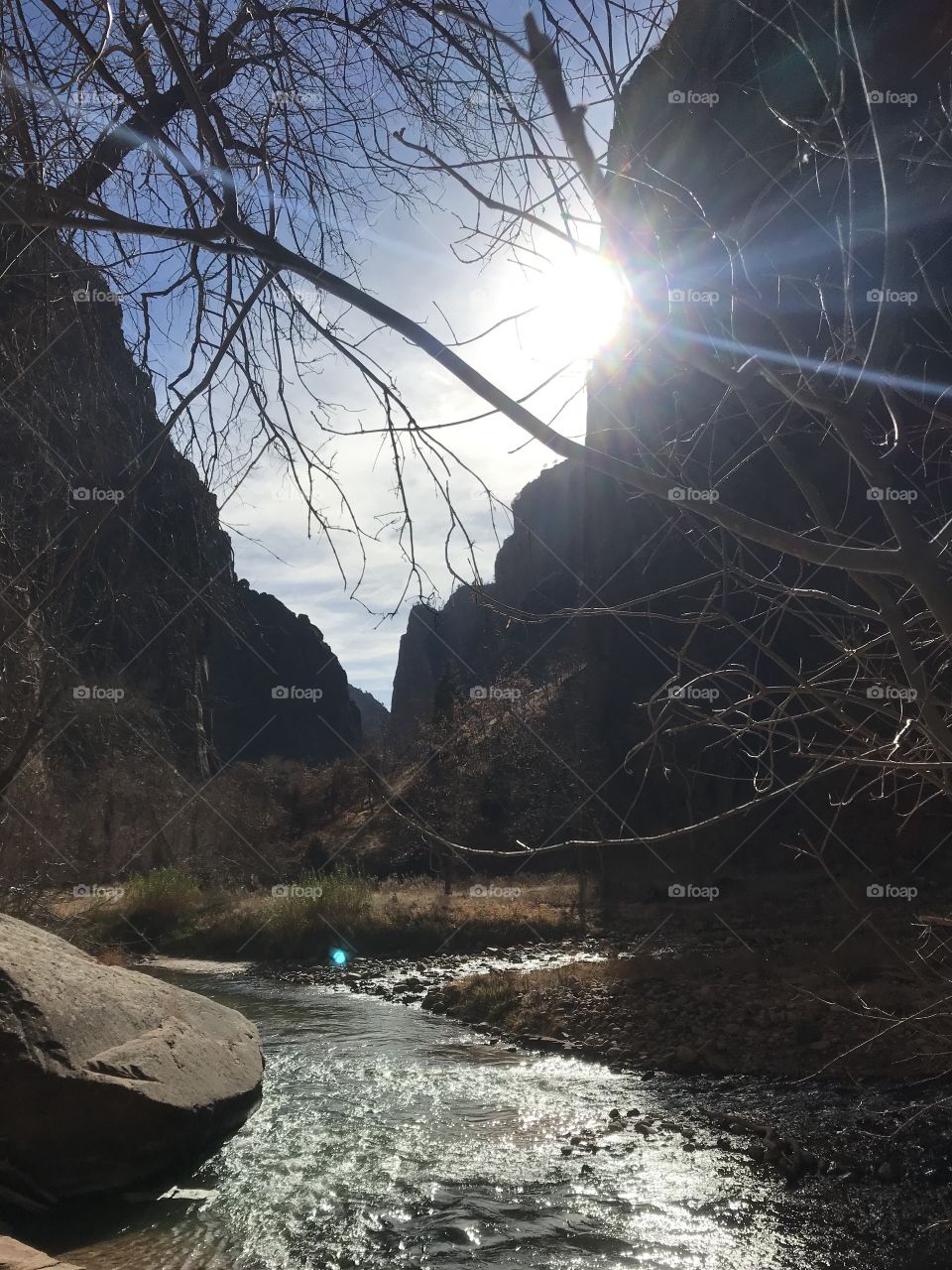 Zion National park river