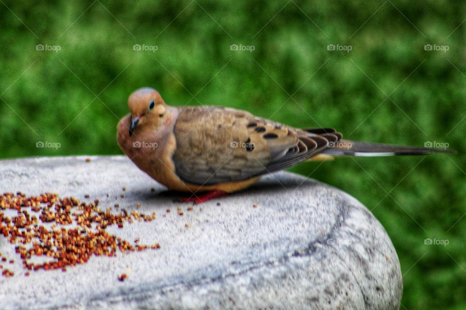 Its a dovely morning.