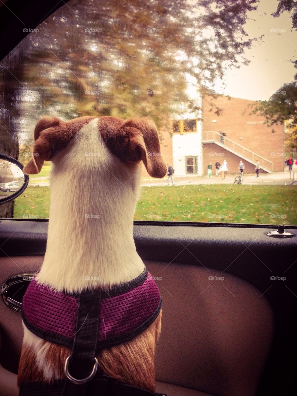 Waiting for my best friend