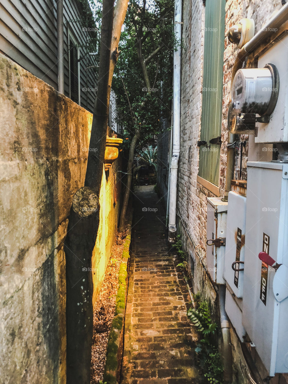 new orleans alley