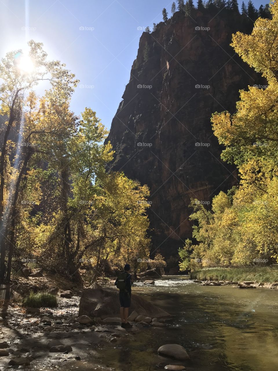 Zion, Utah
Fall, 2017