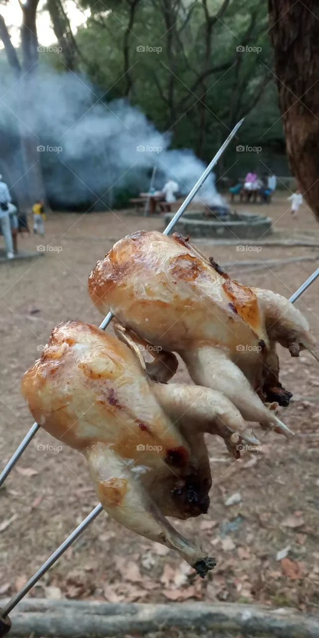 Camping Chicken