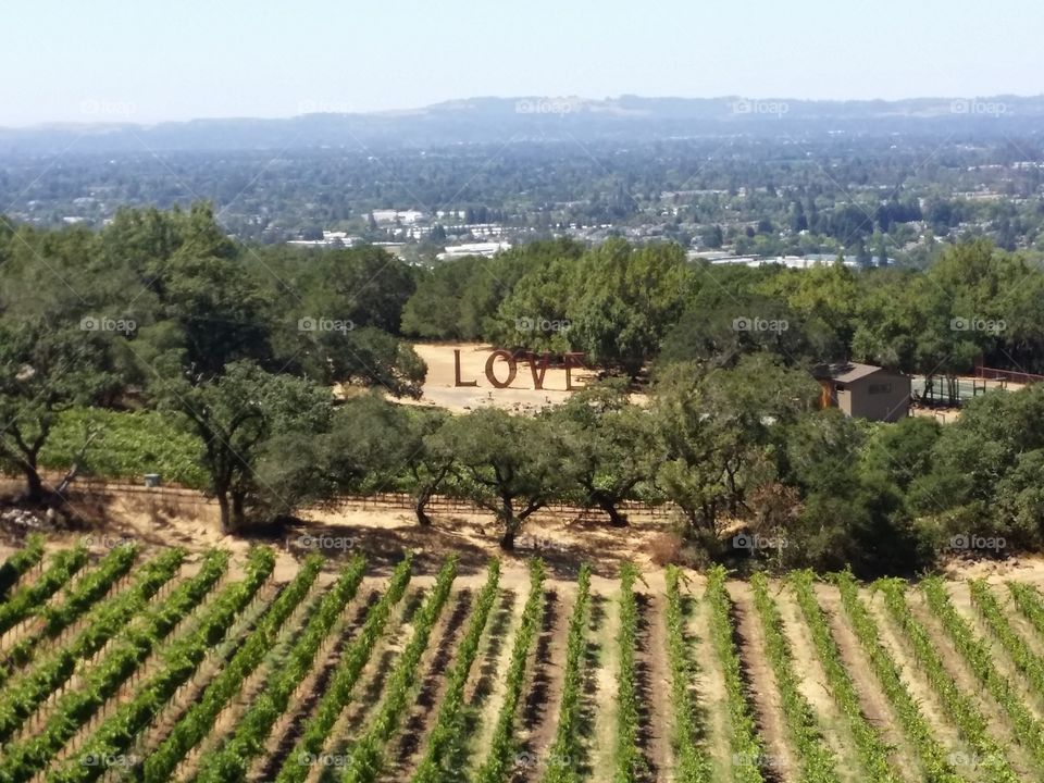 I came for the L๐VE of art and wine, and I will return for the love of great views, friendly wine lovers, and because it is the Amazing Wine Country you've heard about! ๐ฟ๐๐ท