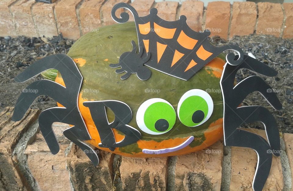 spider pumpkin