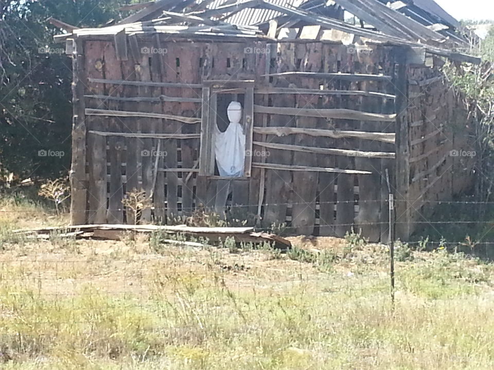 Autumn ghostly shack in the country