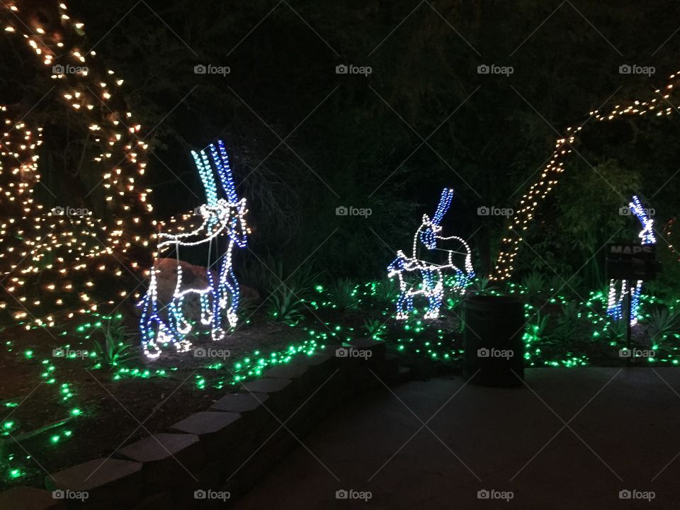 zoo light