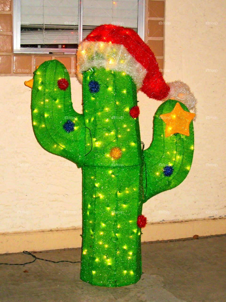 Christmas in the desert