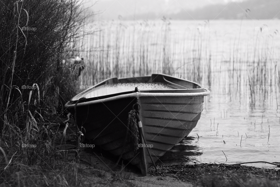 white black grey water by mojo26