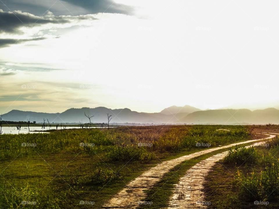 Long load to a beautiful mountain surrounded by the forest