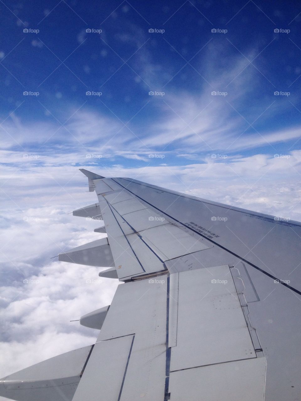 Plane wing 