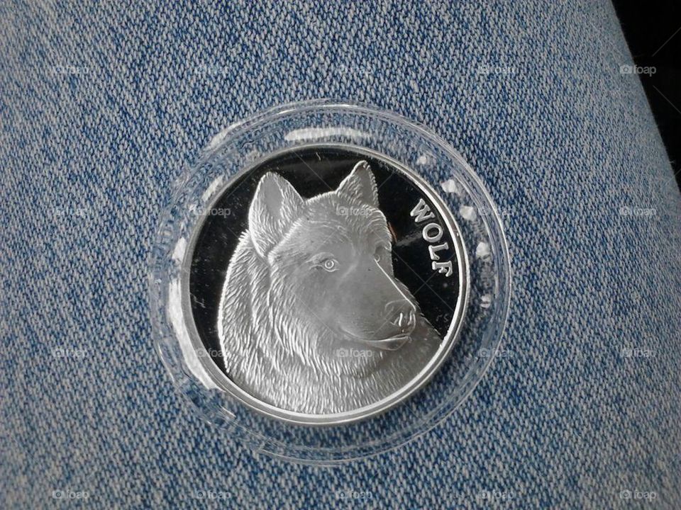 silver coin 