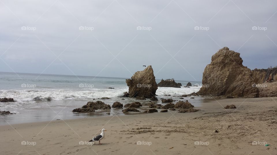 Matador beach. Matador beaCH in the morning