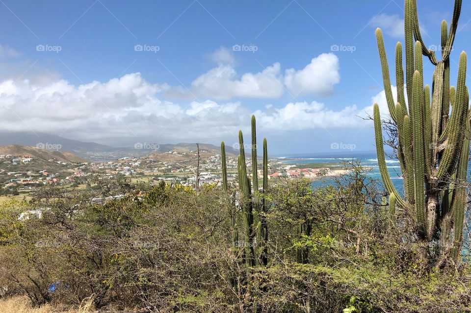 Sir Timothy’s Hill is St. Kitts, USVI