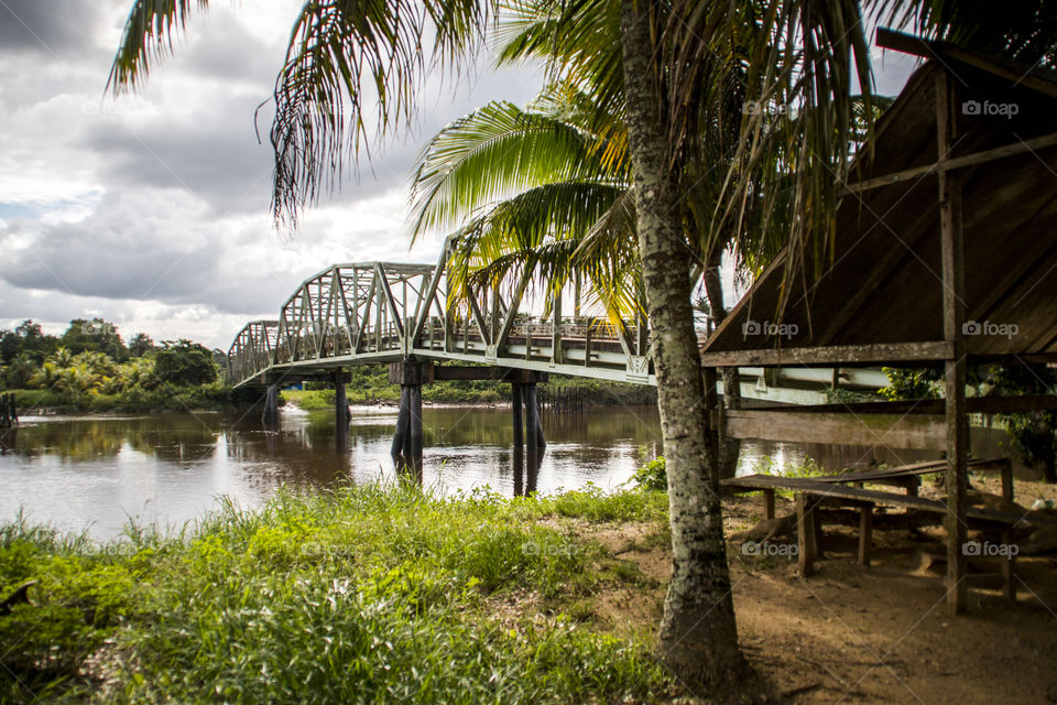 Bridge over river in the tropics
