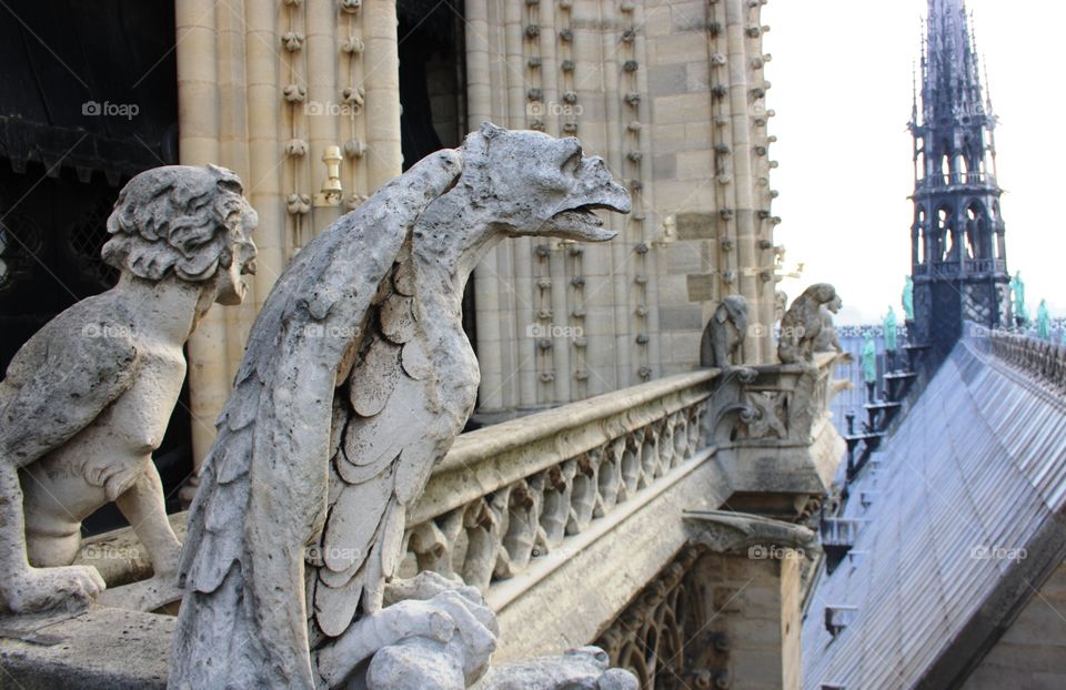Famous garguilles on the roofs of Paris monuments