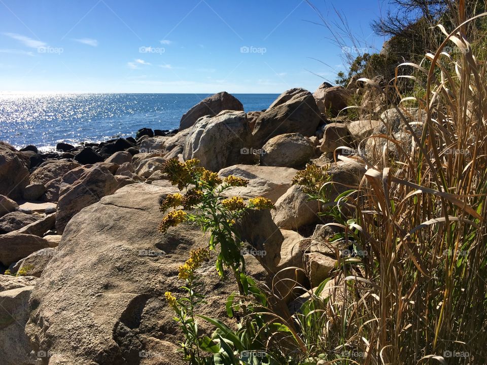 Hammonassett in Autumn