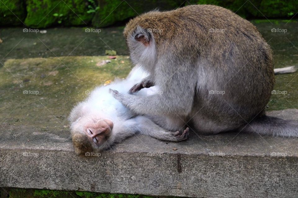 In Bali Indonesia 🇮🇩