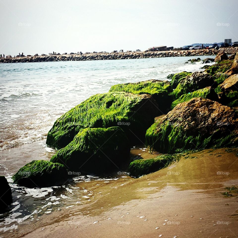 Rocks in the sea