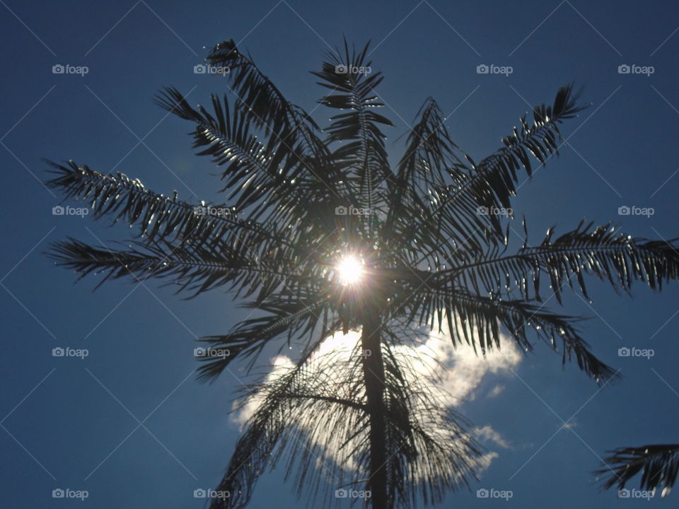 Schöne photos zu machen und anzuschauen, das liebe ich so sehr...