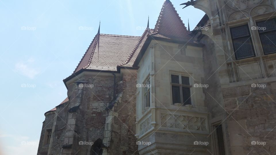 dracula castle