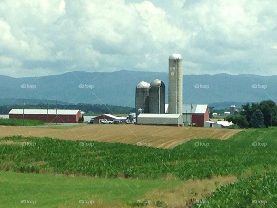 Farm in Pennsylvania 