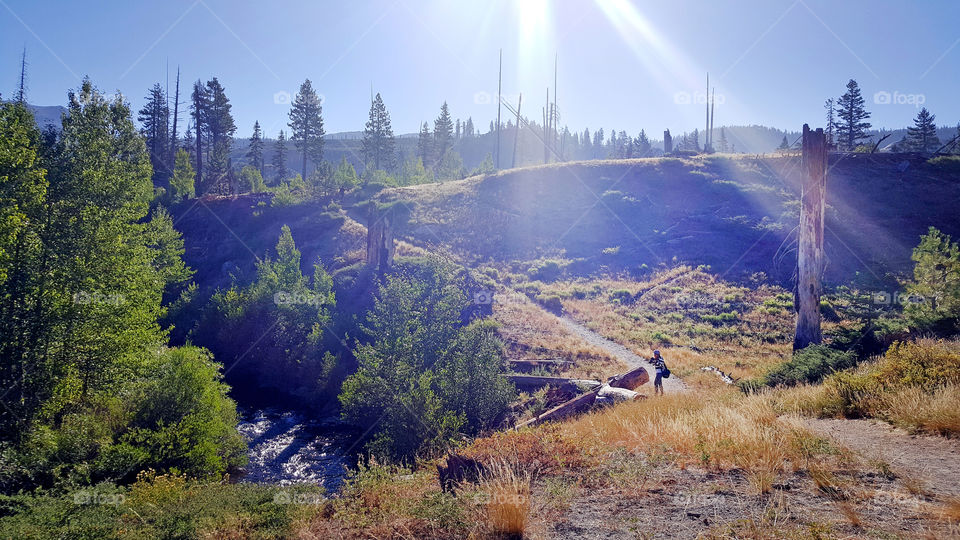 Girl in hiking trail