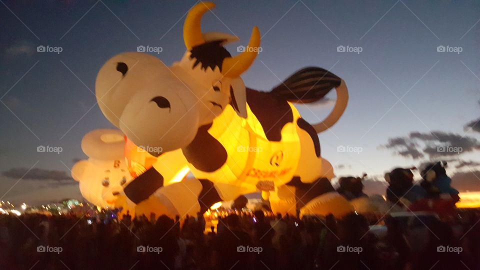 Cow balloon lit up at ABQ Ballon Fiesta