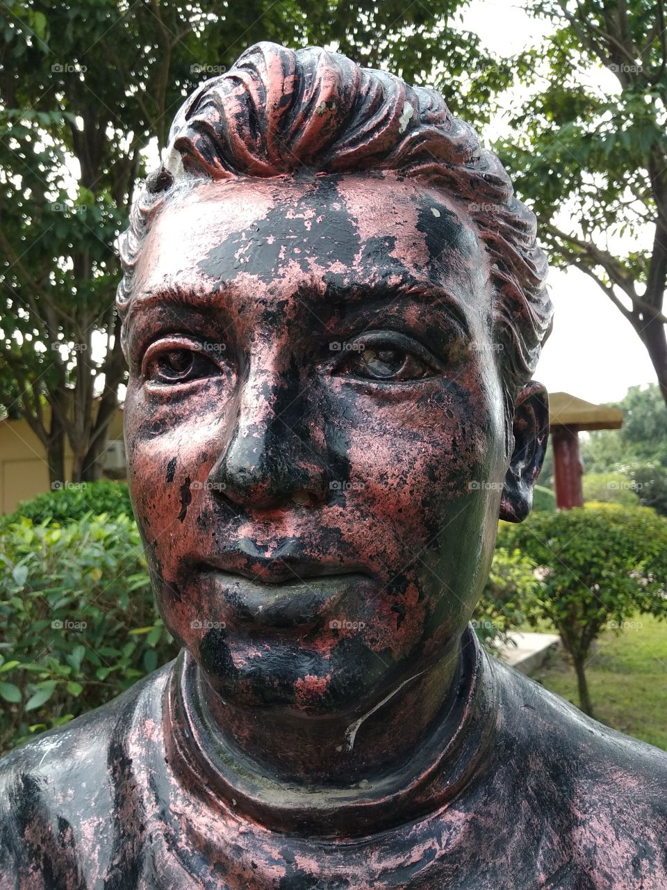 garden on the black man