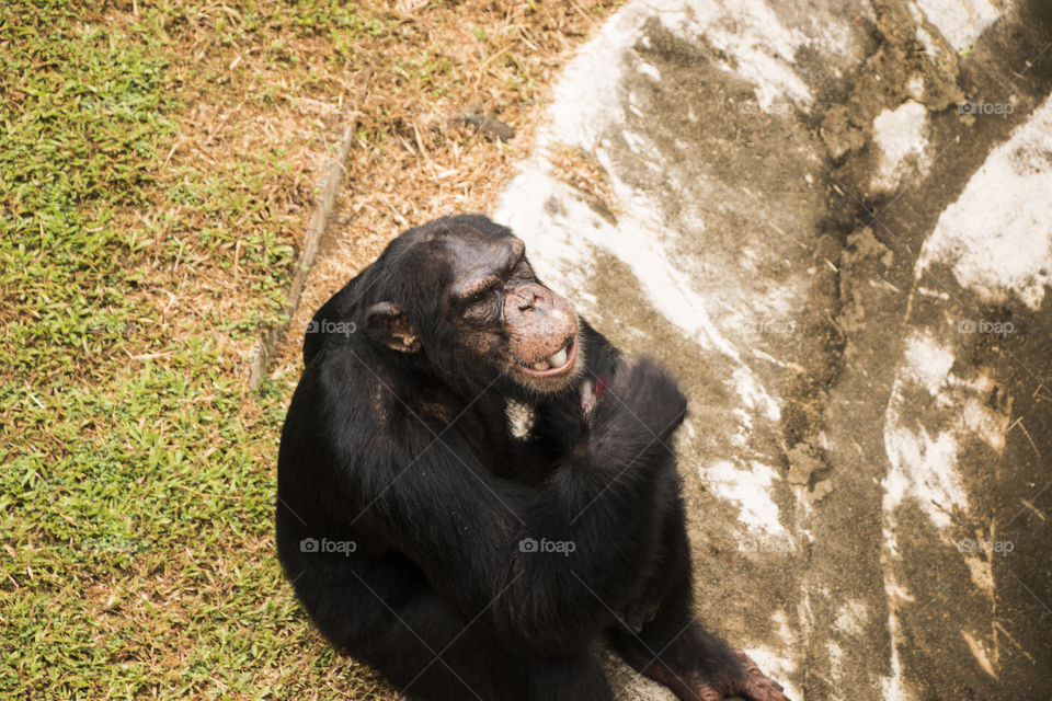 National Zoological Gardens of Sri Lanka