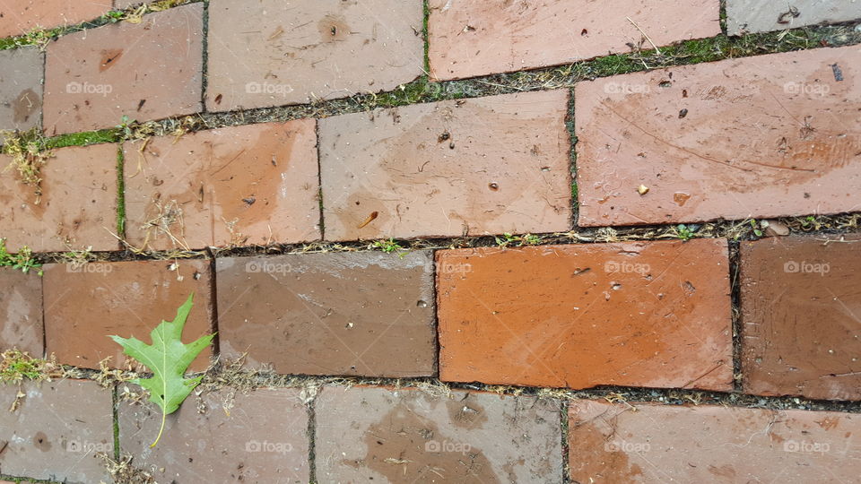 wet bricks