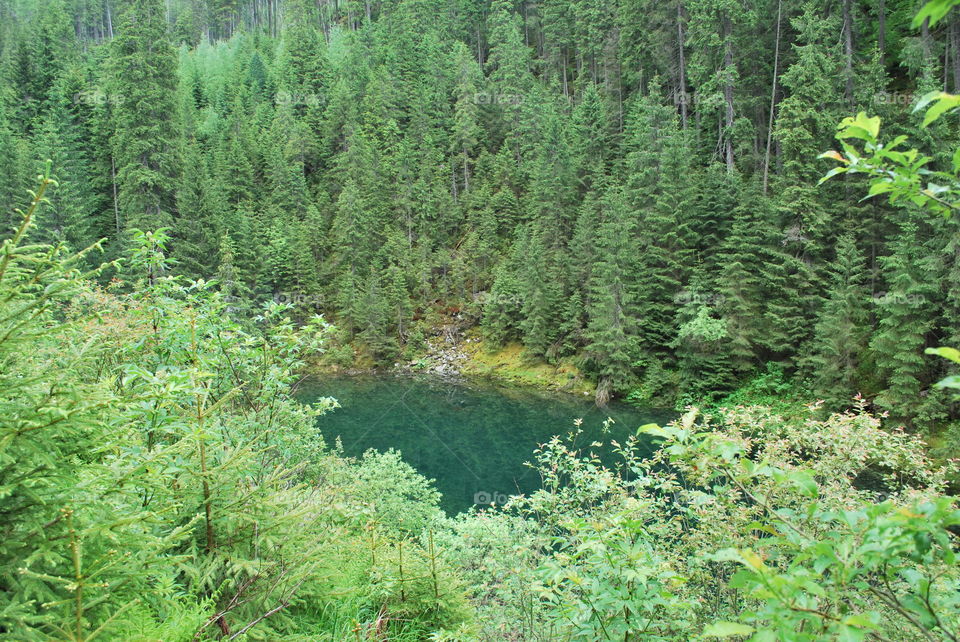 Summer Carpathian Mountains. A mountain lake 