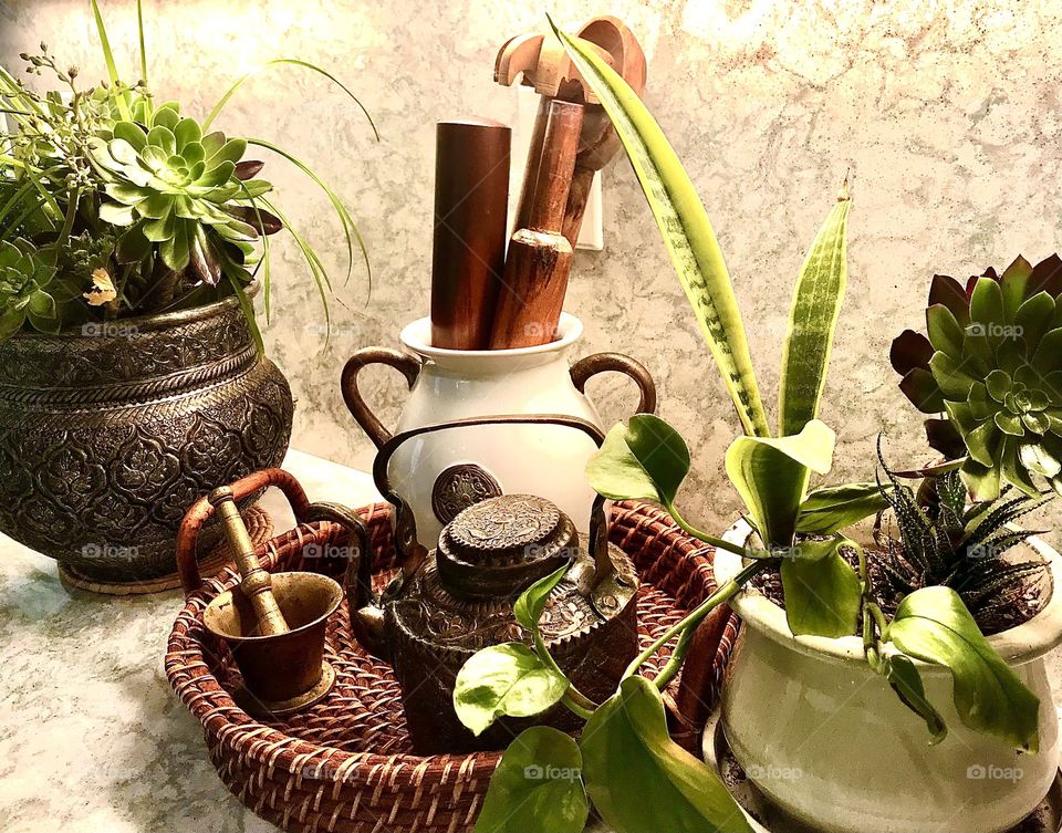 A few antique kitchen tools and some plants on the kitchen counter.