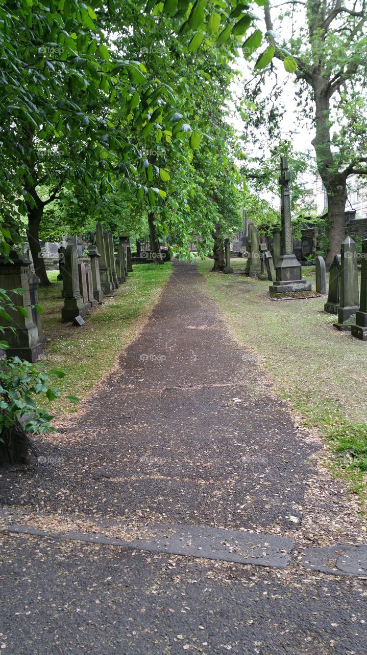 walk in a cemetery. Cemetery in Ireland