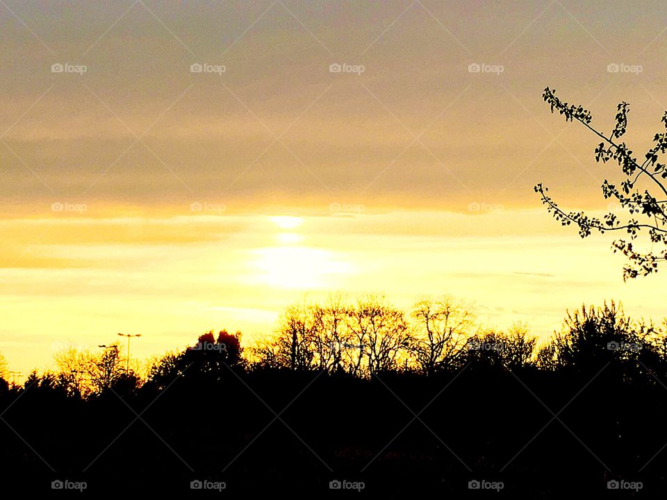 Setting sun framed by skeletal floral capturing nature at sunset, across harvest field, on a May summer-like day