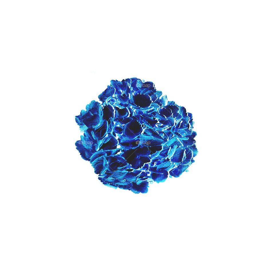 Blue inverted flower taken on Galaxy s7