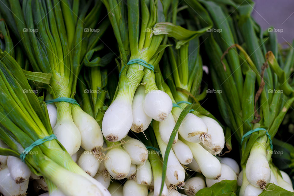 Green onions, fresh, vegetables, green story