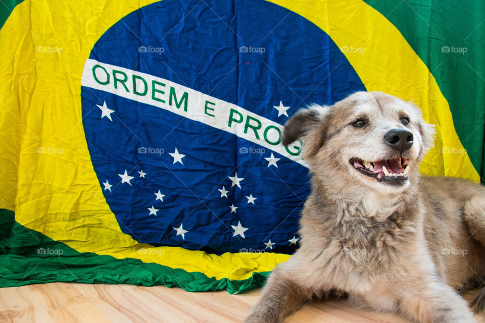 Brazil fever 