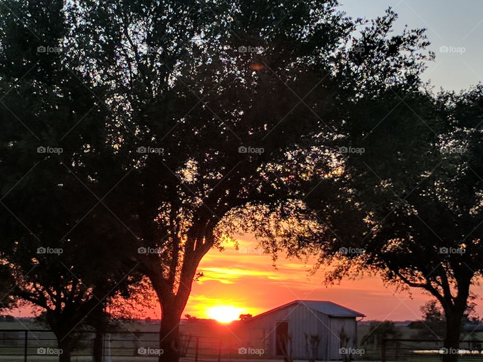 lovely sunset at the ranch
