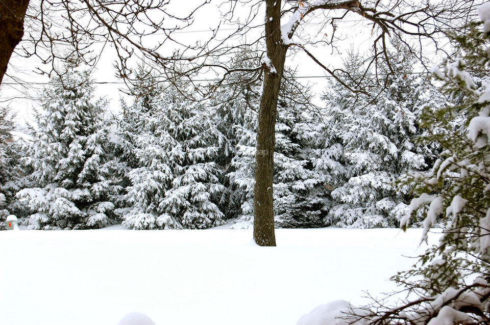 winter snow group1 by refocusphoto