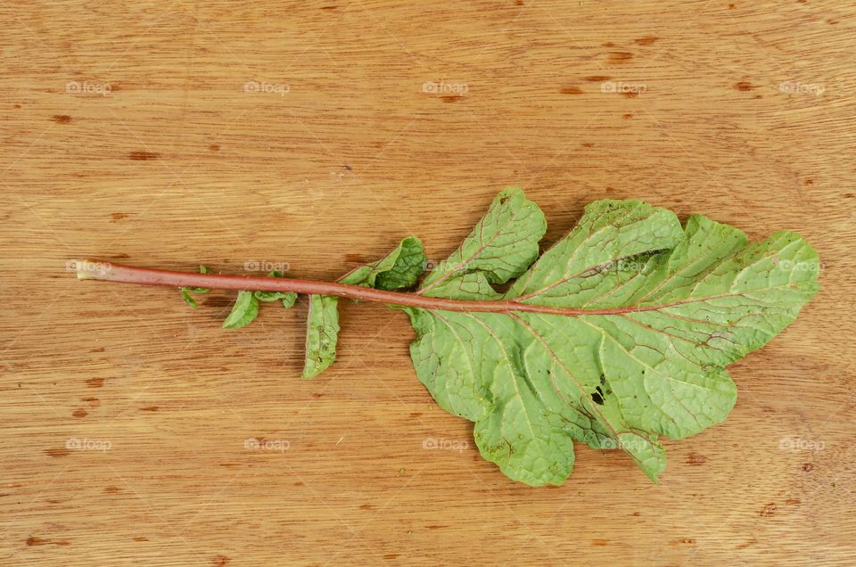 Radish Leaf