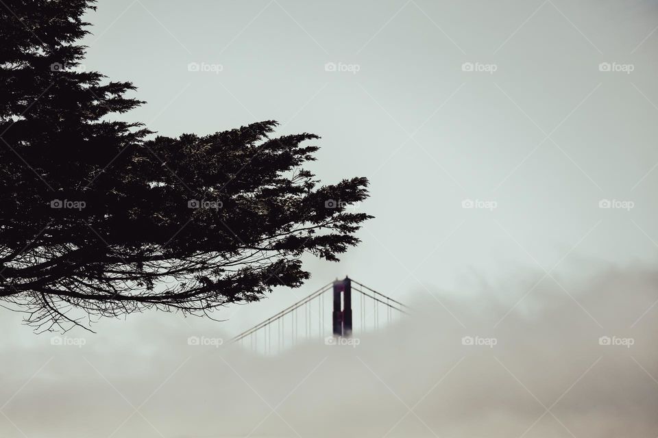 Sepia style image of the Golden Gate Bridge with the beautiful fog cascading right across the middle classic bridge within its art deco design welcoming people to the San Francisco Bay in California 